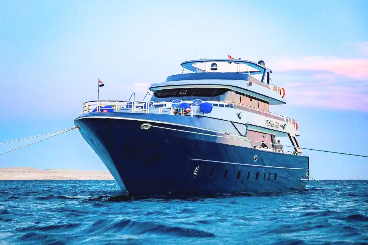 Ashrafi kite safari boat kite stop egypt